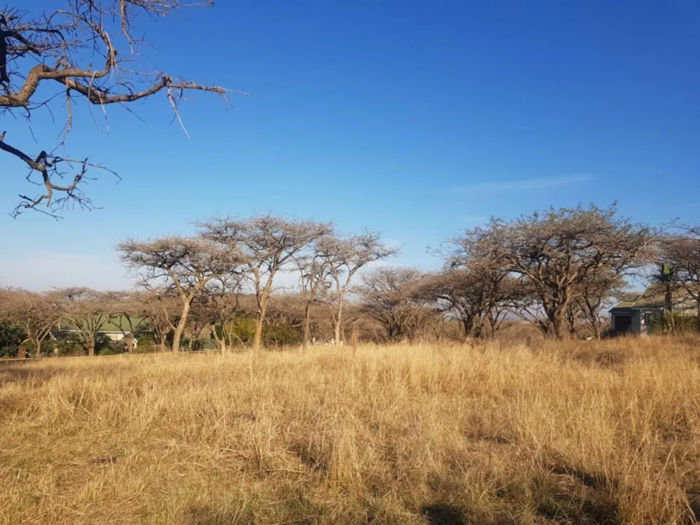 Vacant land for sale in Winterton, KwaZulu-Natal - 1PM1712452 Vacant land for sale in Winterton, KwaZulu-Natal - 1PM1712452