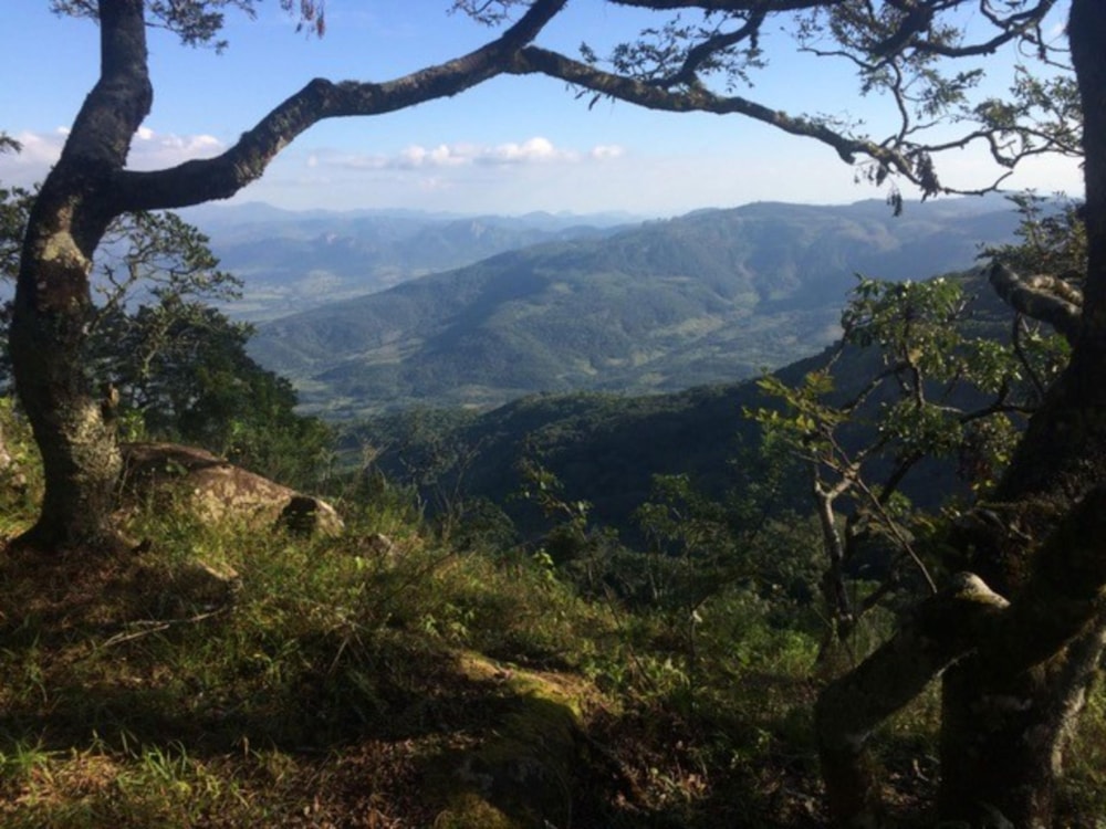 House sold in Vumba(Bvumba, Zimbabwe - 3ZB1712482 House sold in Vumba(Bvumba, Zimbabwe - 3ZB1712482