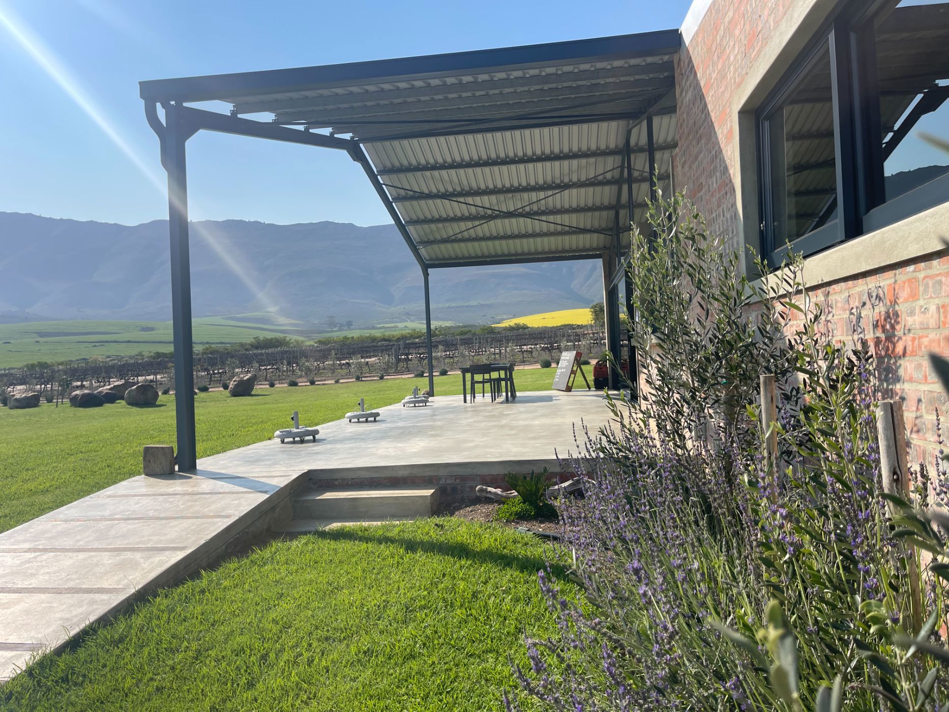 Olive farm for sale in Tulbagh - RV1712598