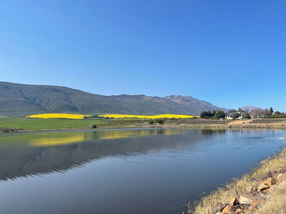 Olive farm for sale in Tulbagh - RV1712598