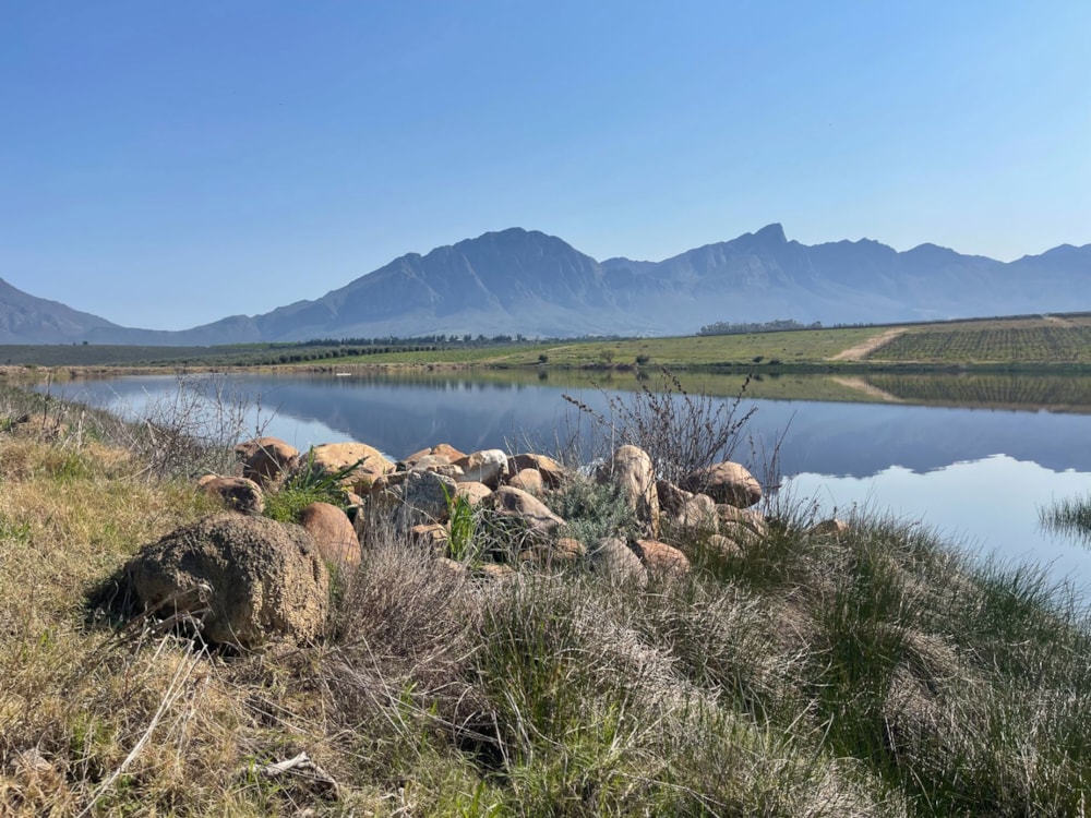 Olive farm for sale in Tulbagh - RV1712598