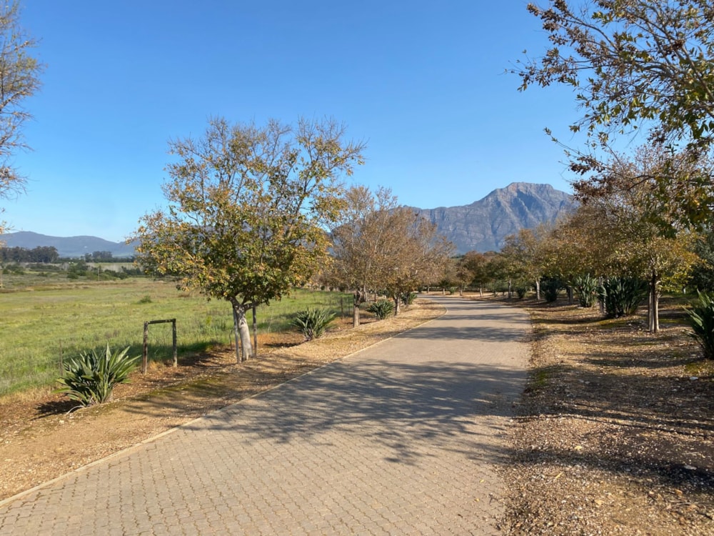 Olive farm for sale in Tulbagh - RV1712598