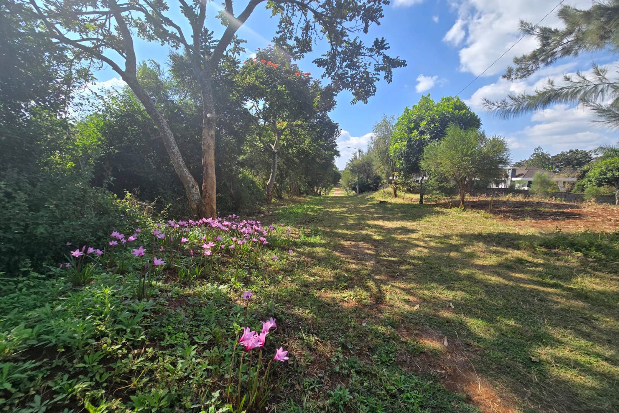 Residential vacant land for sale in Runda , Kenya - 3KE1712752