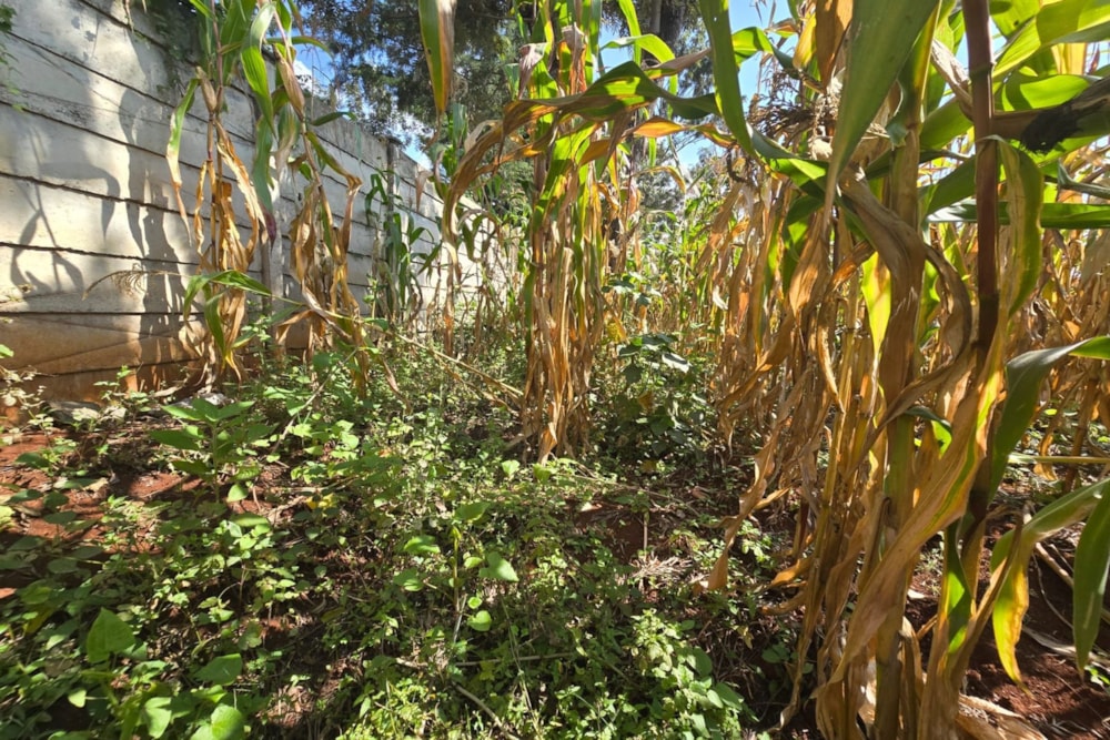 Residential vacant land for sale in Runda , Kenya - 3KE1712752 Residential vacant land for sale in Runda , Kenya - 3KE1712752