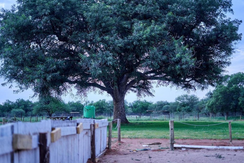 Mixed use farm for sale in Modipane , Botswana - 3BO1713006 Mixed use farm for sale in Modipane , Botswana - 3BO1713006