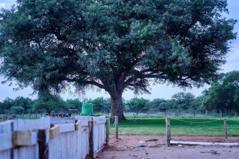 Mixed use farm for sale in Modipane , Botswana - 3BO1713006 Mixed use farm for sale in Modipane , Botswana - 3BO1713006