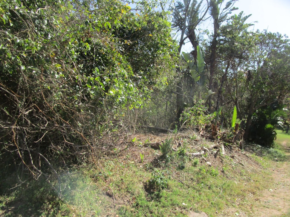 Vacant land for sale in Pennington - 1SI1712214 Vacant land for sale in Pennington - 1SI1712214