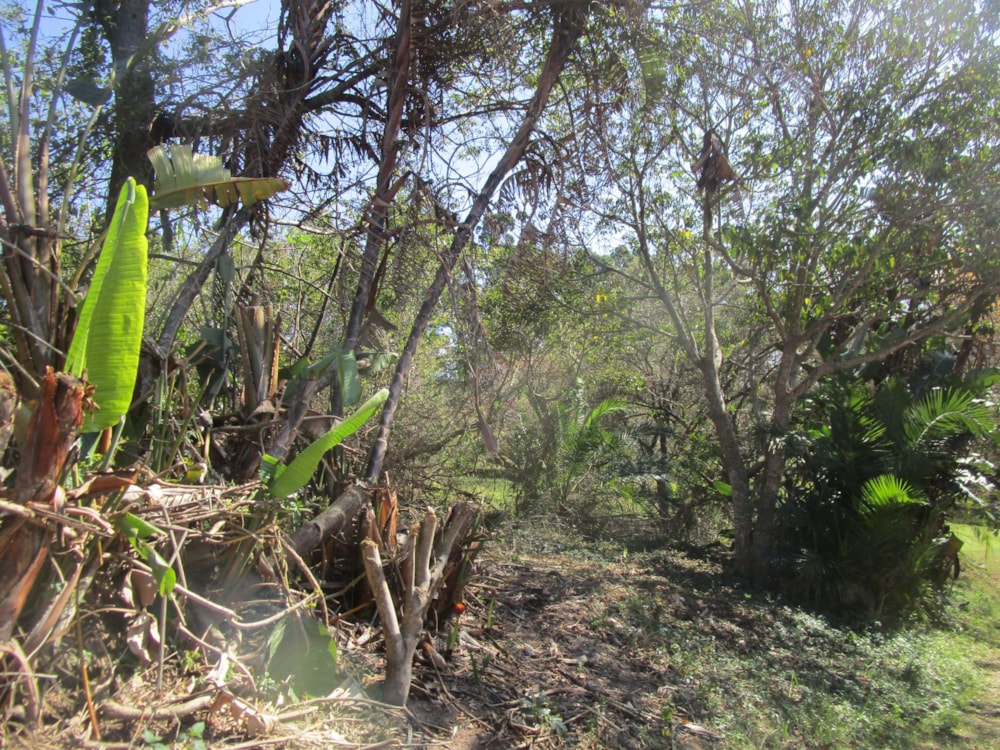 Vacant land for sale in Pennington - 1SI1712214 Vacant land for sale in Pennington - 1SI1712214