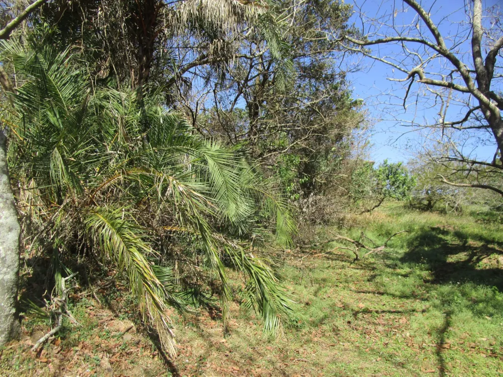 Vacant land sold in Pennington - 1SI1712214 Vacant land sold in Pennington - 1SI1712214