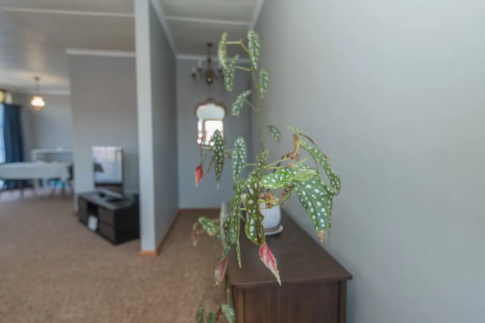 House sold in Van Riebeeck Hoogte - 1UK1710714