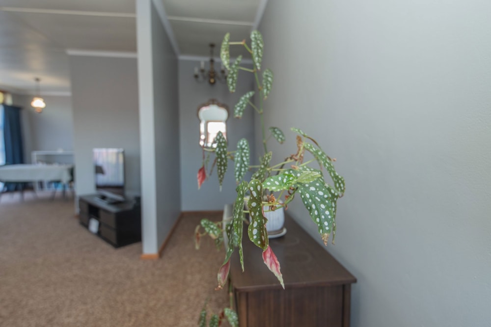 House sold in Van Riebeeck Hoogte - 1UK1710714 House sold in Van Riebeeck Hoogte - 1UK1710714