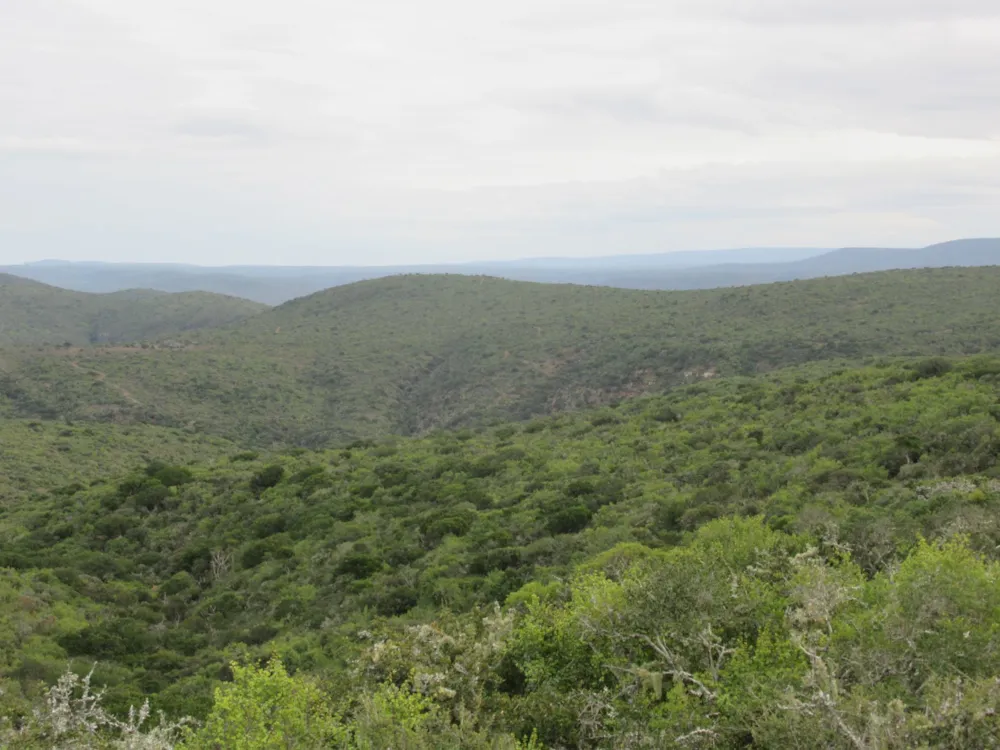 Game farm for sale in Grahamstown (Makhanda) - 1GC1710238