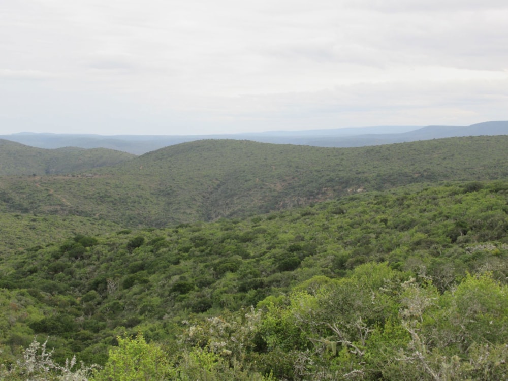 Game farm for sale in Grahamstown (Makhanda) - 1GC1710238