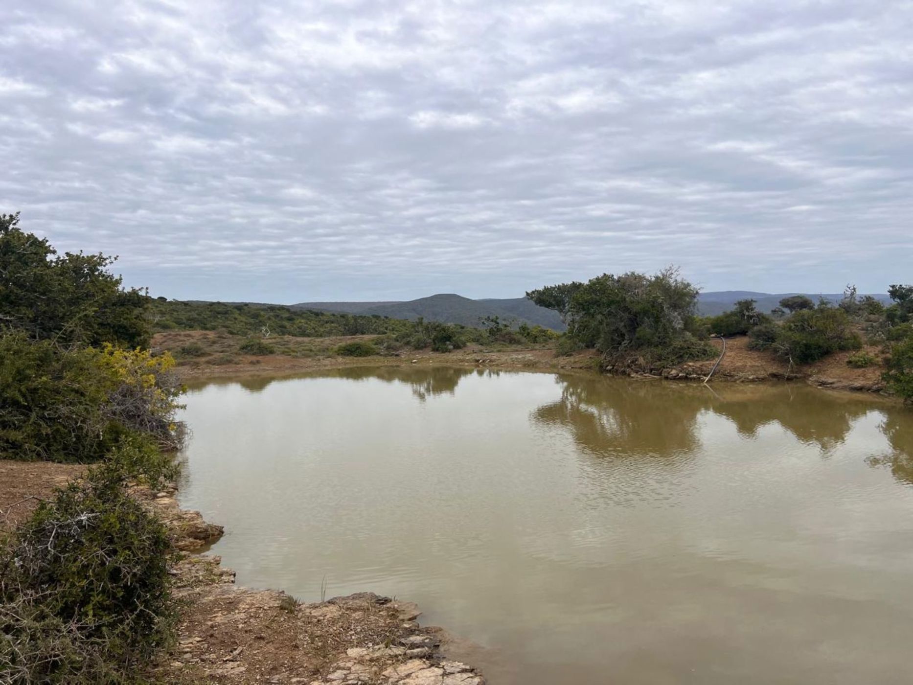 Game farm for sale in Grahamstown (Makhanda) - 1GC1710238