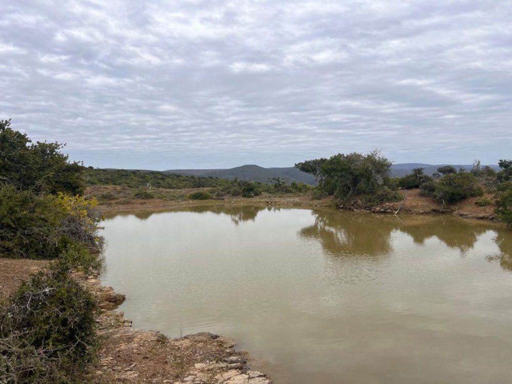 Game farm for sale in Grahamstown (Makhanda) - 1GC1710238