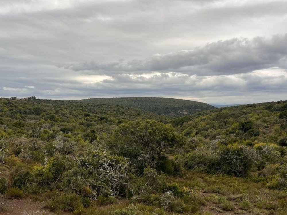 Game farm for sale in Grahamstown (Makhanda) - 1GC1710238