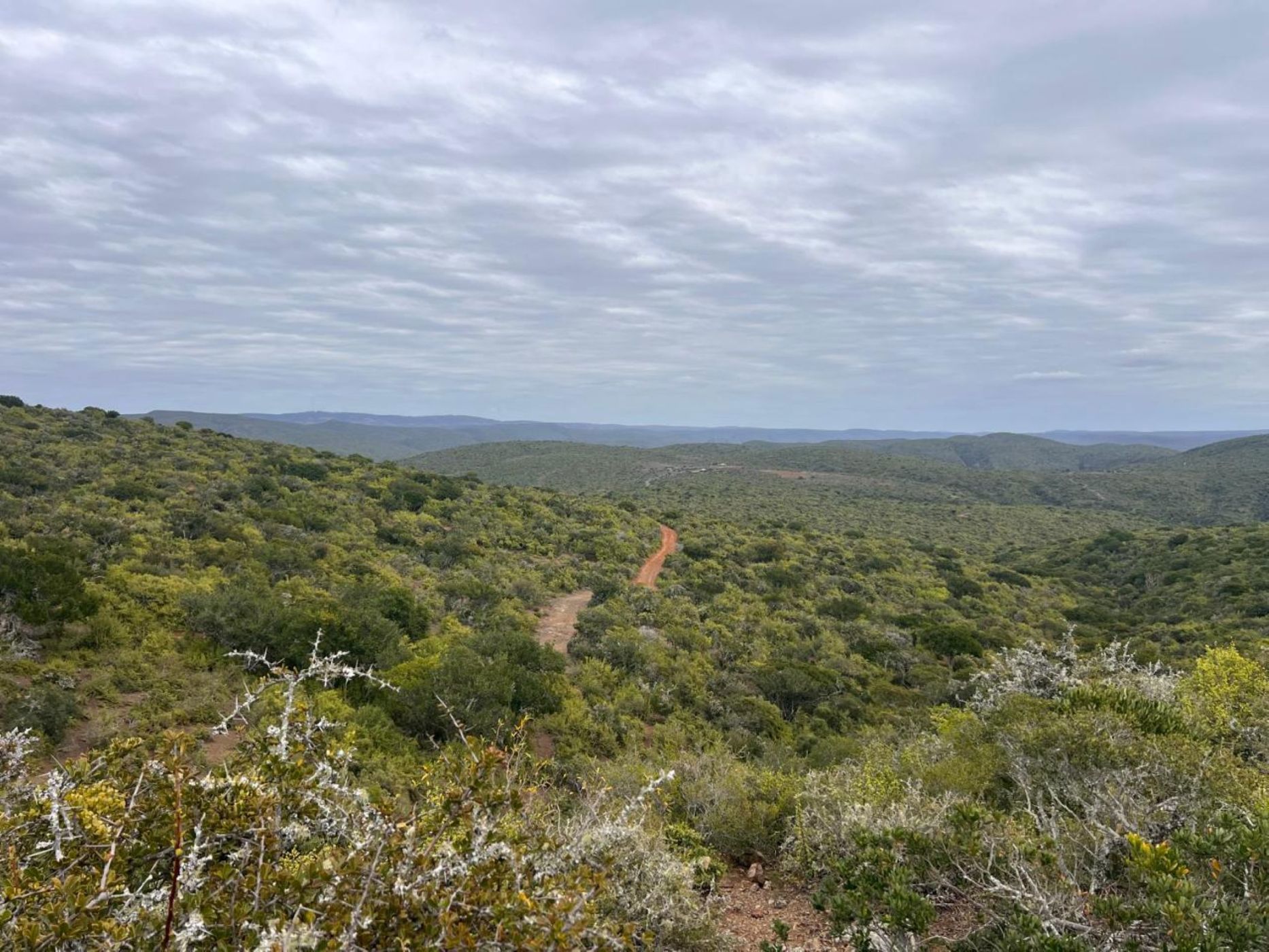 Game farm for sale in Grahamstown (Makhanda) - 1GC1710238