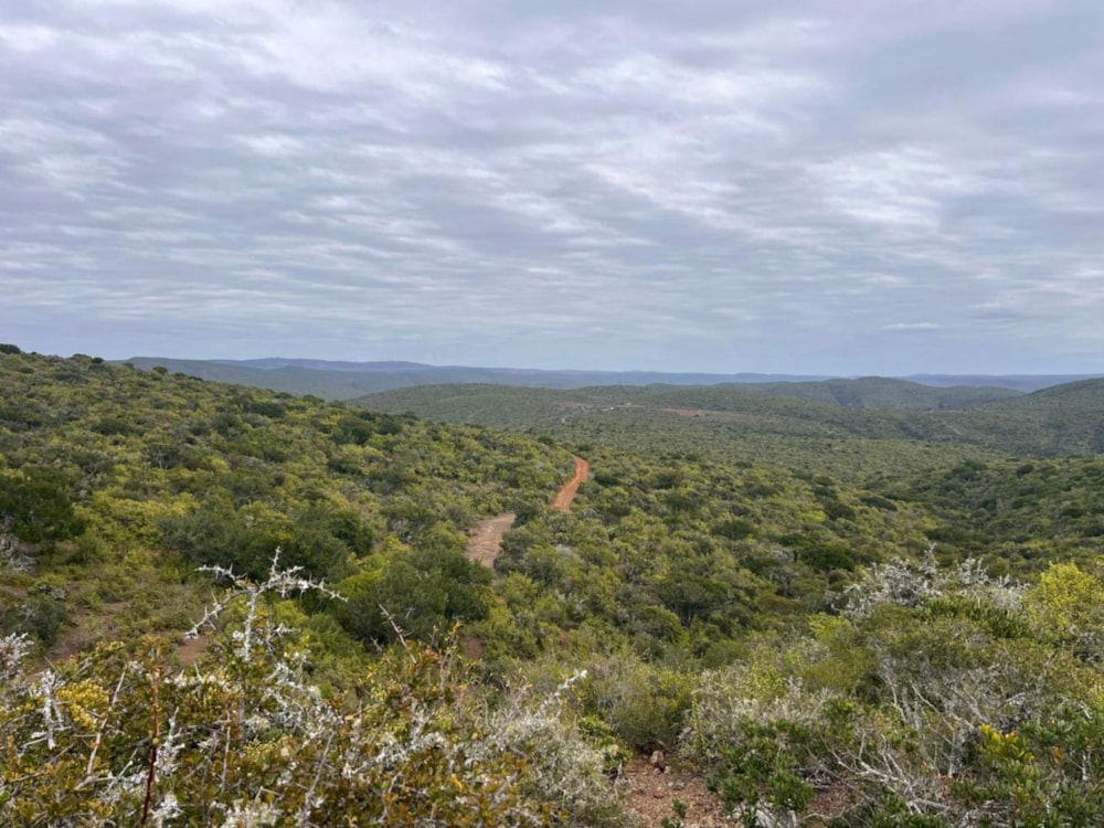 Game farm for sale in Grahamstown (Makhanda) - 1GC1710238