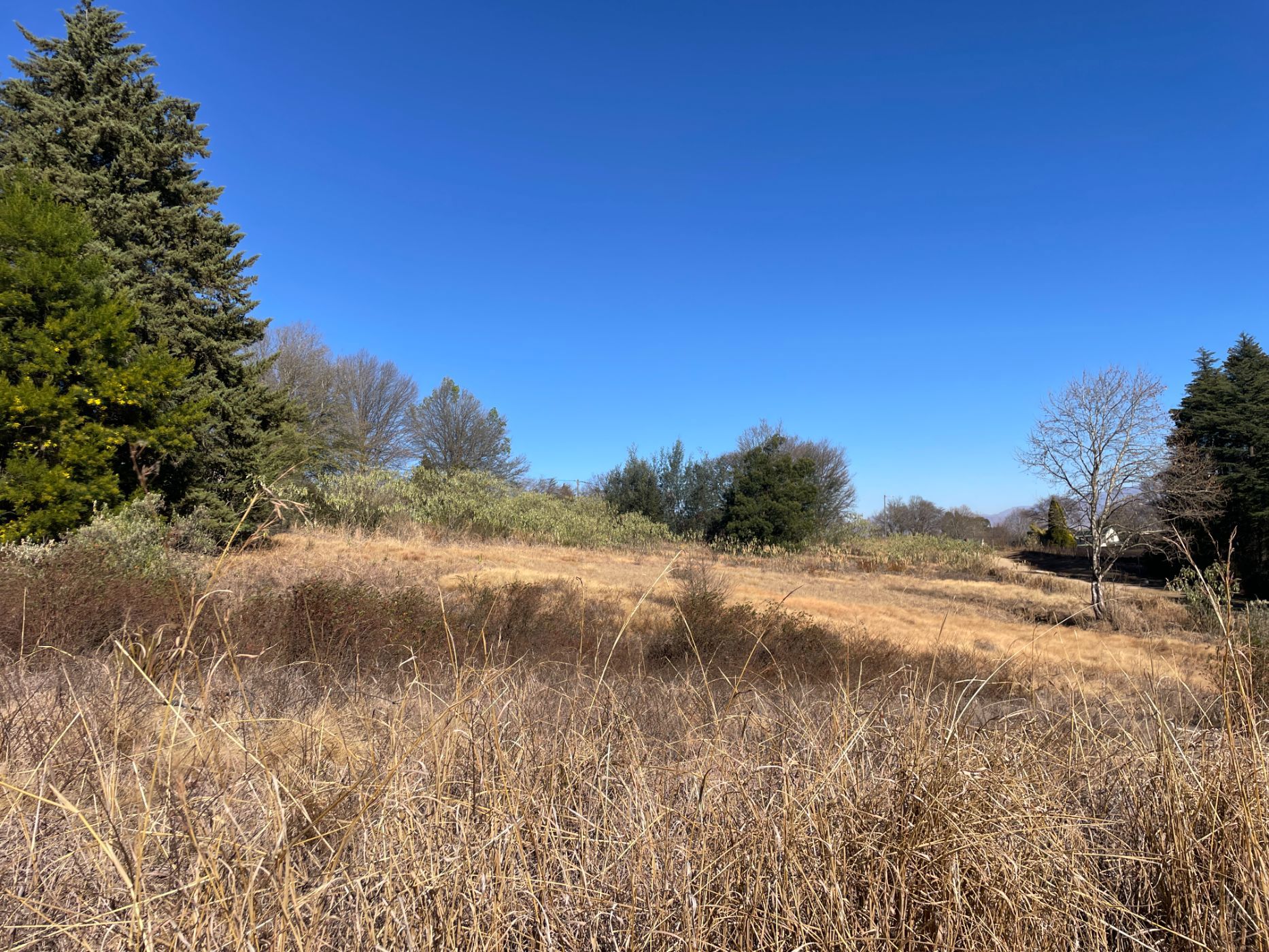 Residential vacant land for sale in Underberg - 1UB1710961