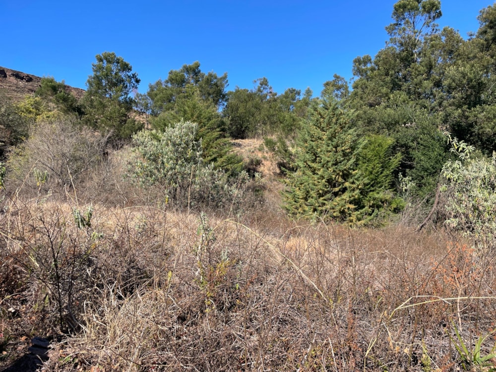 Residential vacant land for sale in Underberg - 1UB1710961 Residential vacant land for sale in Underberg - 1UB1710961