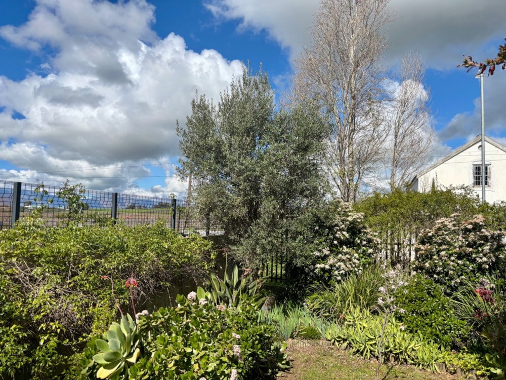 House for sale in Riebeek Kasteel - RV1711597 House for sale in Riebeek Kasteel - RV1711597