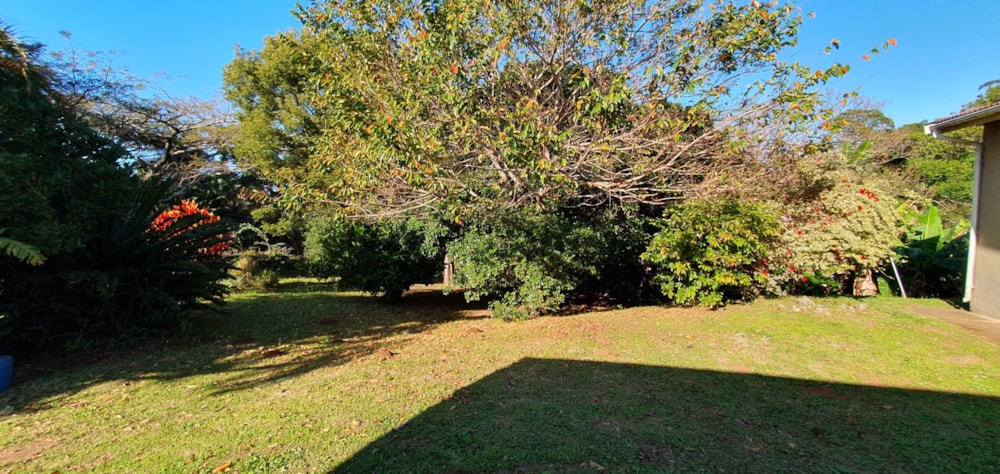 Single-storey house for sale in Palm Beach - 1PD1710666