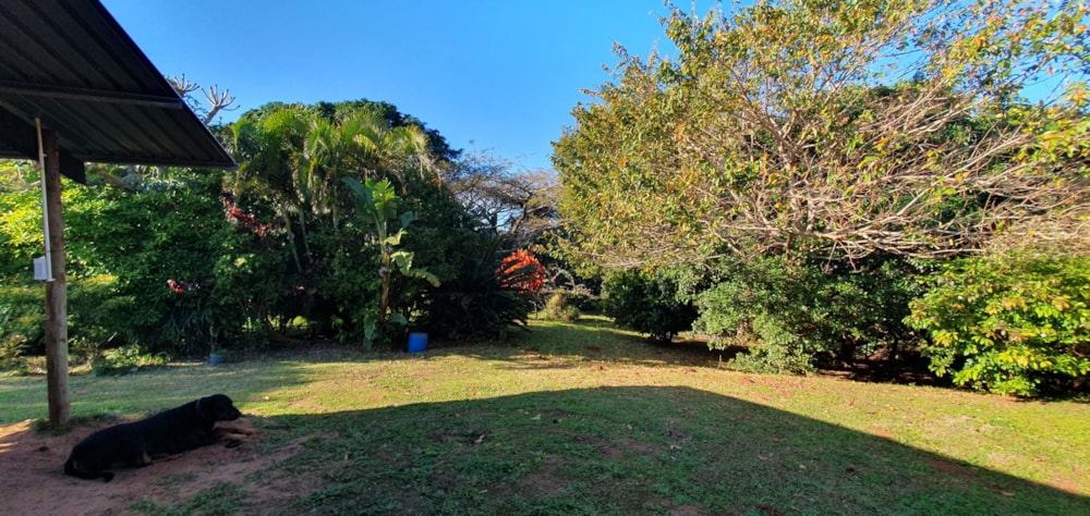 Single-storey house for sale in Palm Beach - 1PD1710666