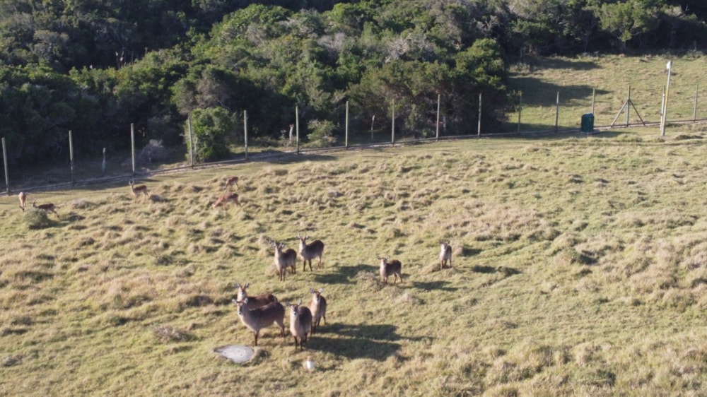 Vacant land for sale in Kenton Eco Estate - 1KO1712228