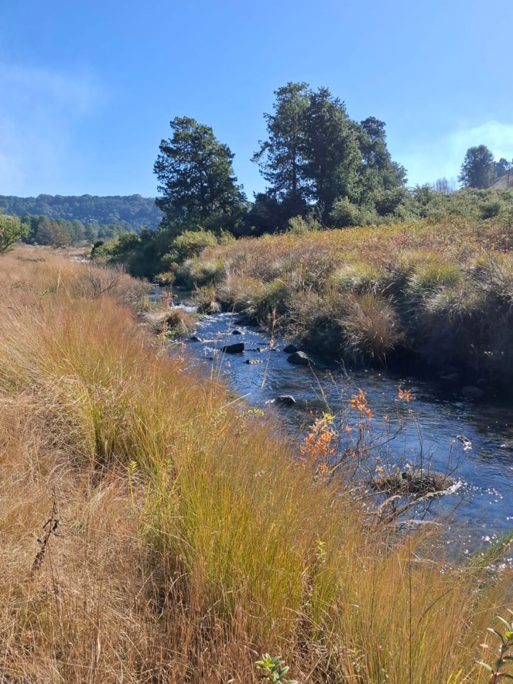 House sold in Dullstroom - 1DS1710744 House sold in Dullstroom - 1DS1710744