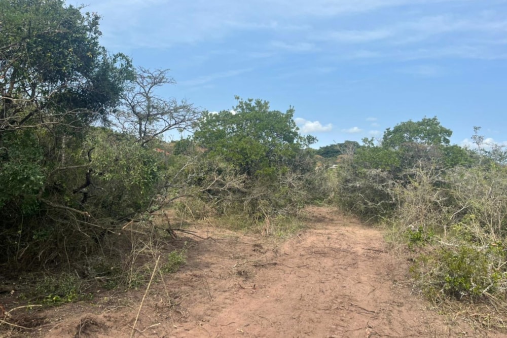 Vacant land for sale in Bathurst - 1PF1348950 Vacant land for sale in Bathurst - 1PF1348950