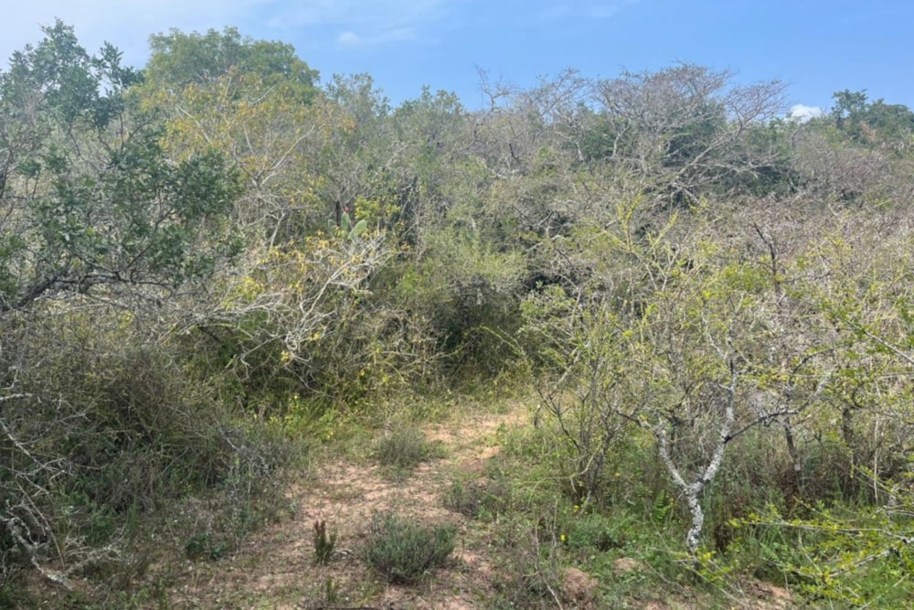 Vacant land for sale in Bathurst - 1PF1348950 Vacant land for sale in Bathurst - 1PF1348950