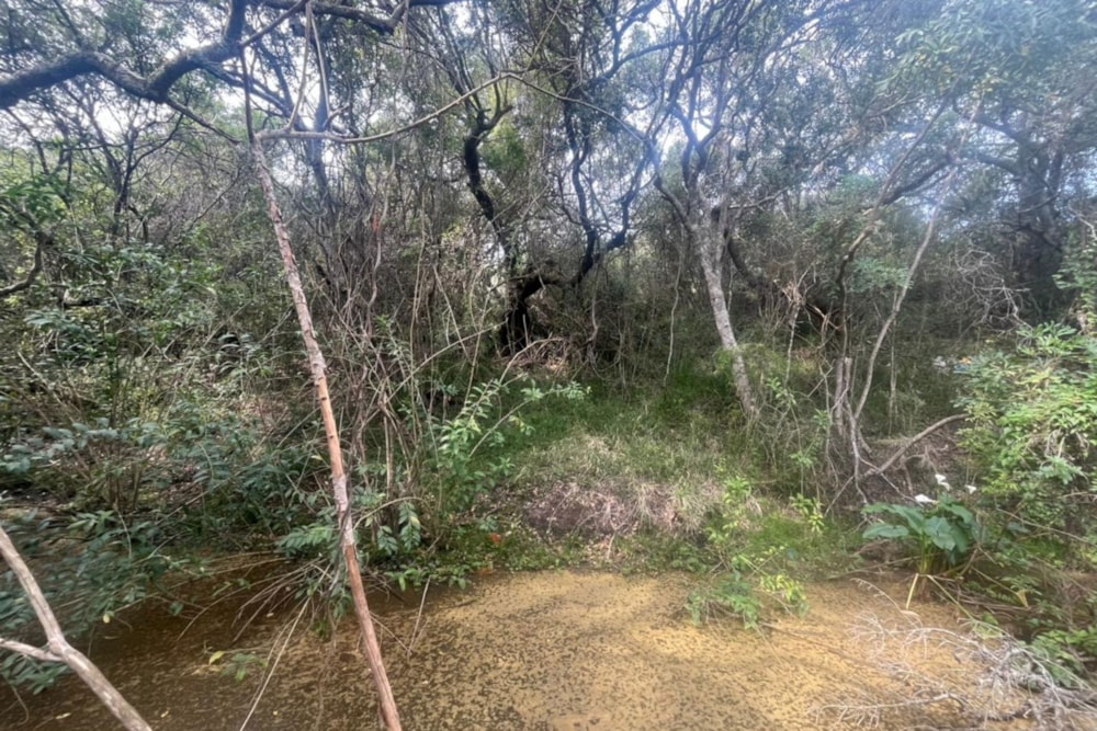 Vacant land for sale in Bathurst - 1PF1348950 Vacant land for sale in Bathurst - 1PF1348950