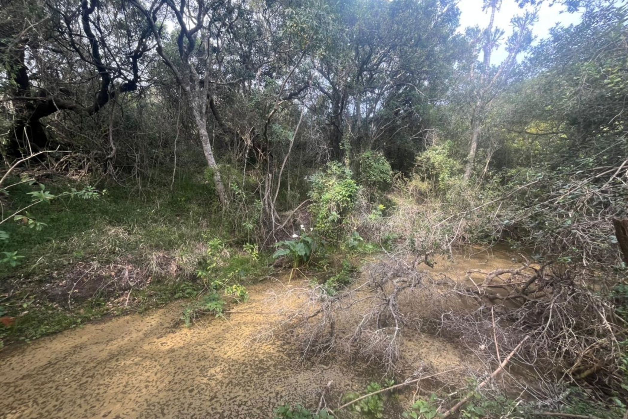 Vacant land for sale in Bathurst - 1PF1348950