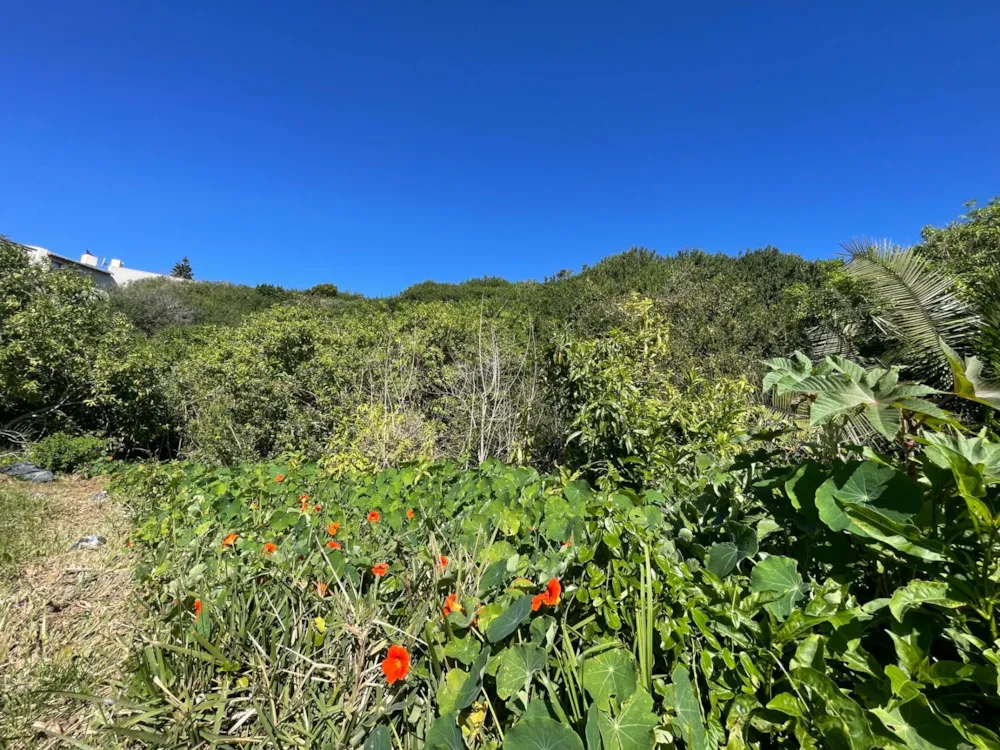 Vacant land sold in Santareme - 1SA1711775 Vacant land sold in Santareme - 1SA1711775