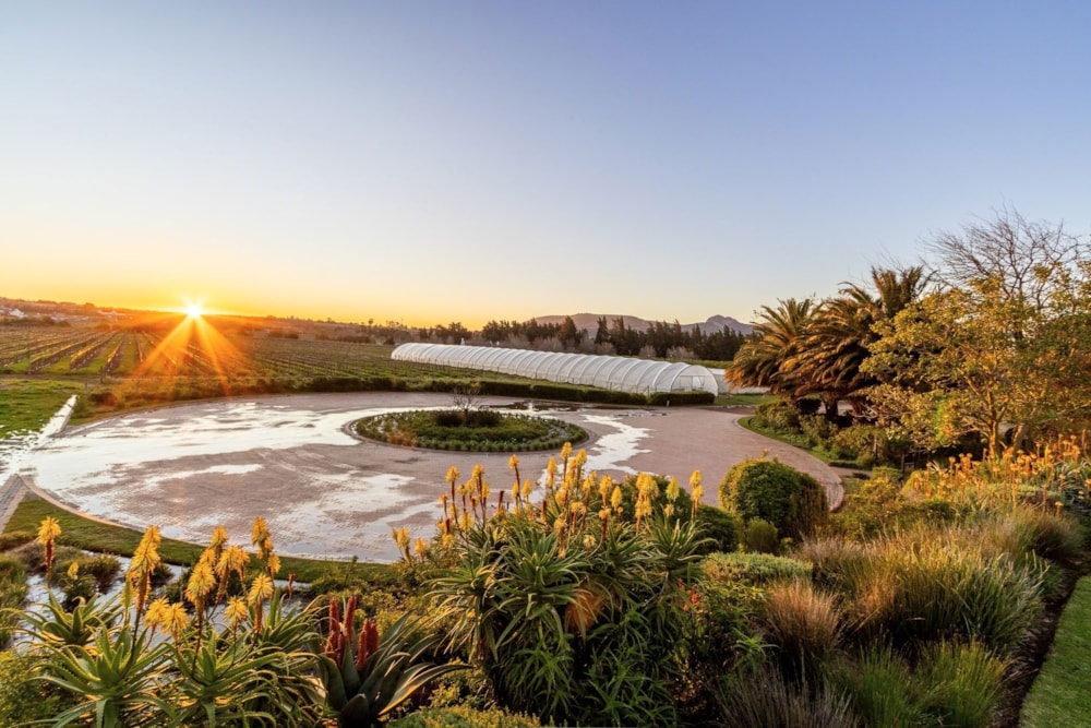 Farm vacant land for sale in Val de Vie Estate - VLV1710842 Farm vacant land for sale in Val de Vie Estate - VLV1710842