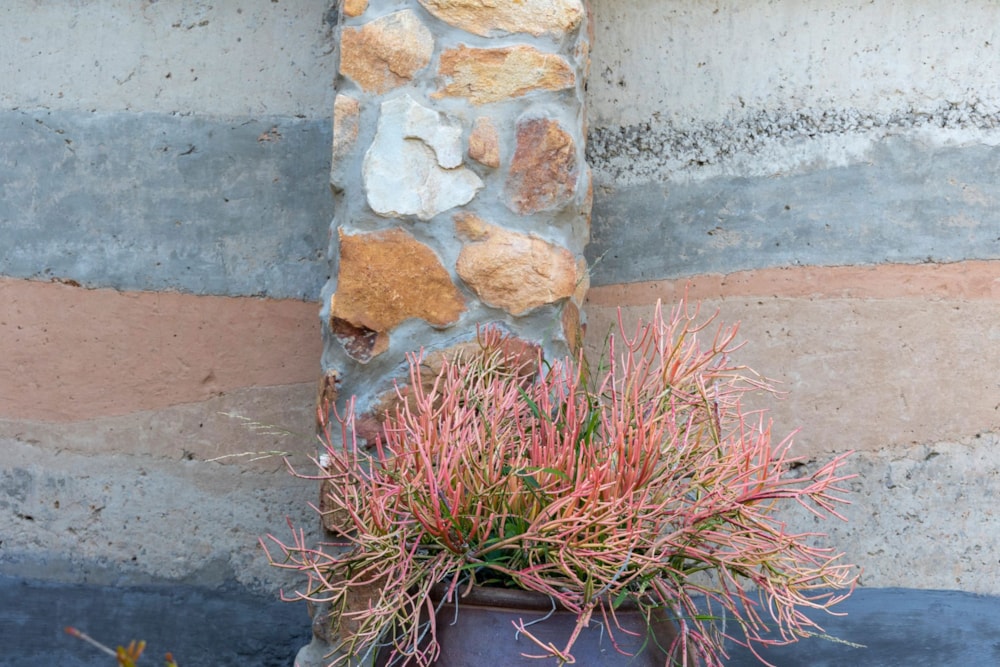 House for sale in Wilderness Heights - GEO1660012 House for sale in Wilderness Heights - GEO1660012