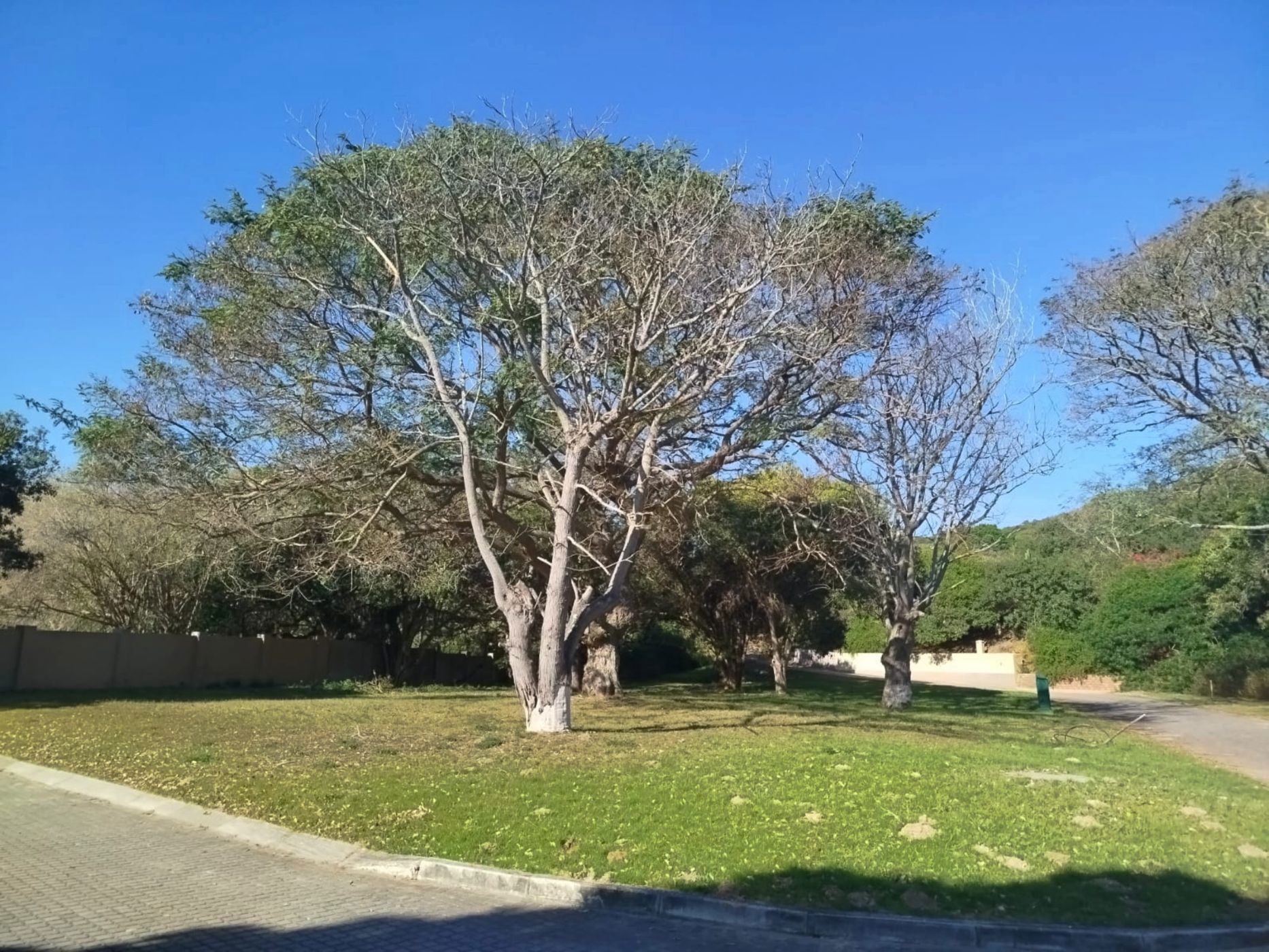 Residential vacant land for sale in West Bank, Port Alfred - 1PF1713455