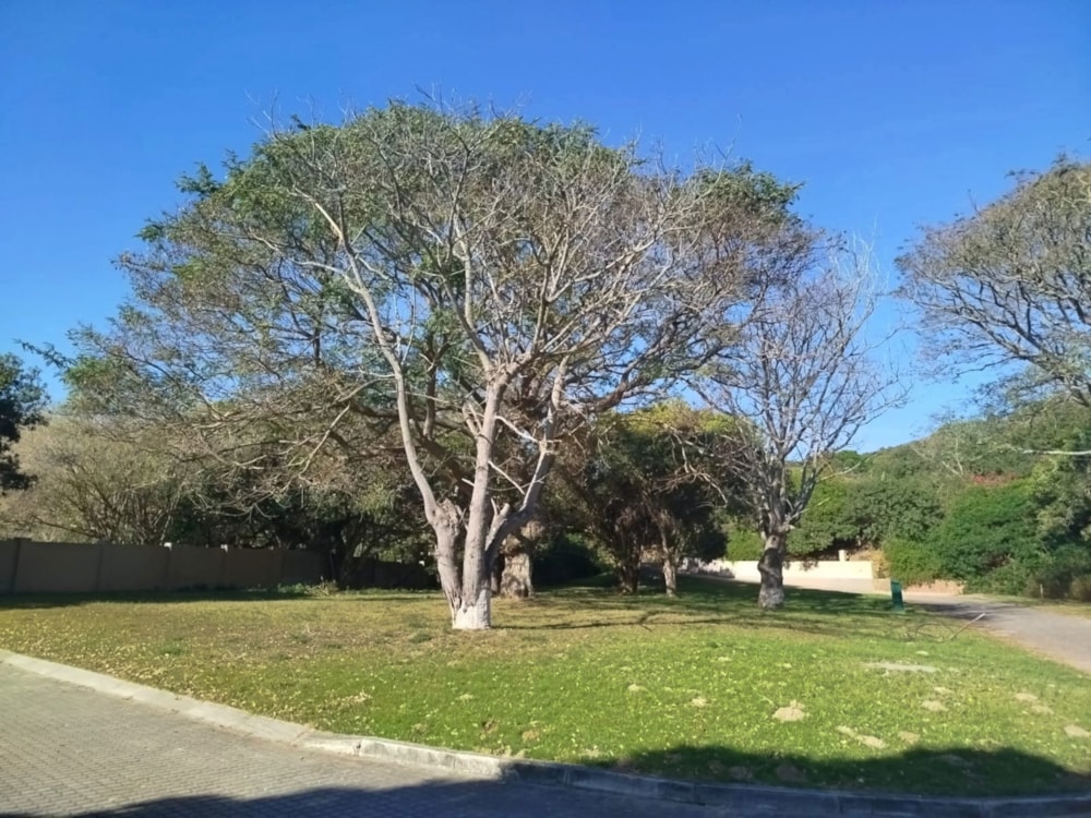 Residential vacant land for sale in West Bank, Port Alfred - 1PF1713455 Residential vacant land for sale in West Bank, Port Alfred - 1PF1713455