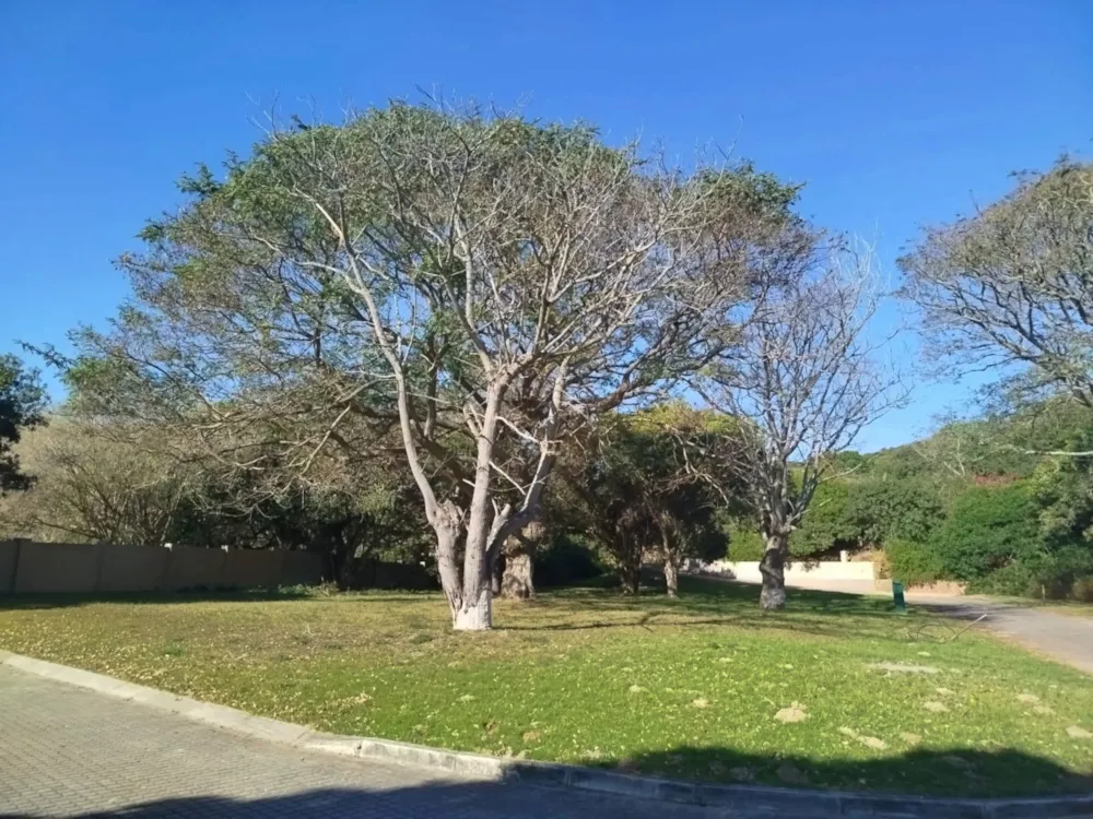 Residential vacant land for sale in West Bank, Port Alfred - 1PF1713455 Residential vacant land for sale in West Bank, Port Alfred - 1PF1713455