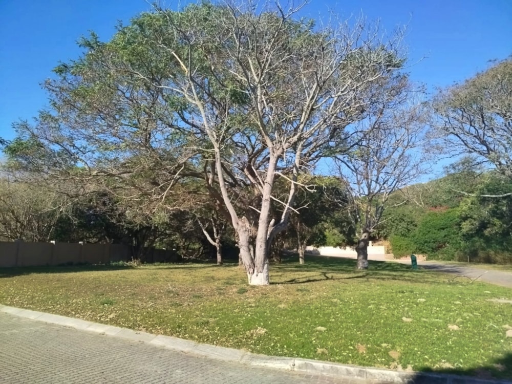 Residential vacant land for sale in West Bank, Port Alfred - 1PF1713455 Residential vacant land for sale in West Bank, Port Alfred - 1PF1713455