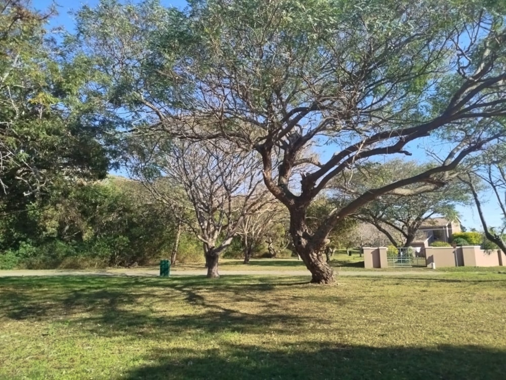 Residential vacant land for sale in West Bank, Port Alfred - 1PF1713455 Residential vacant land for sale in West Bank, Port Alfred - 1PF1713455