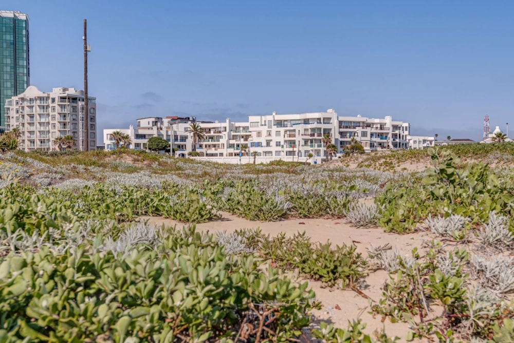 Penthouse apartment for sale in Summerstrand - 1PLZ1723563