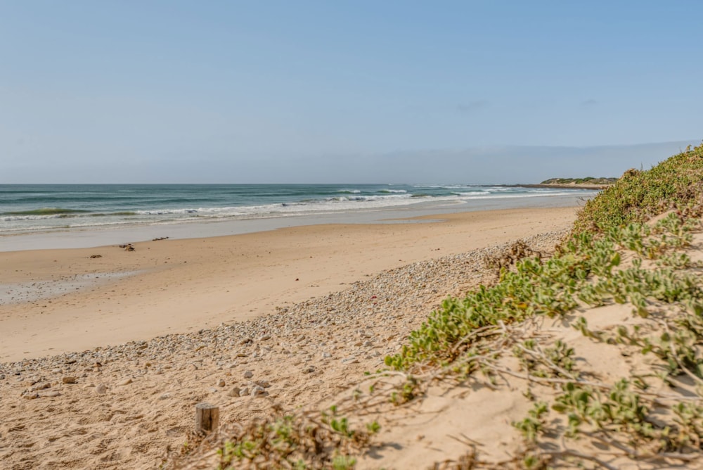 Apartment for sale in Summerstrand - 1PLZ1713968