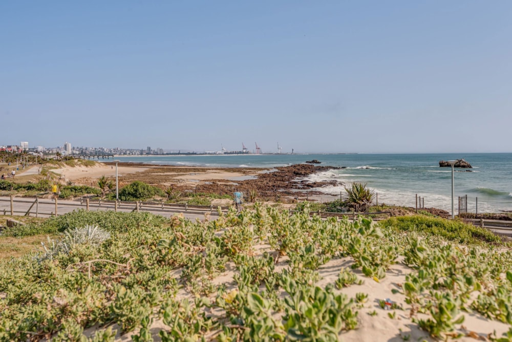 Apartment for sale in Summerstrand - 1PLZ1713968