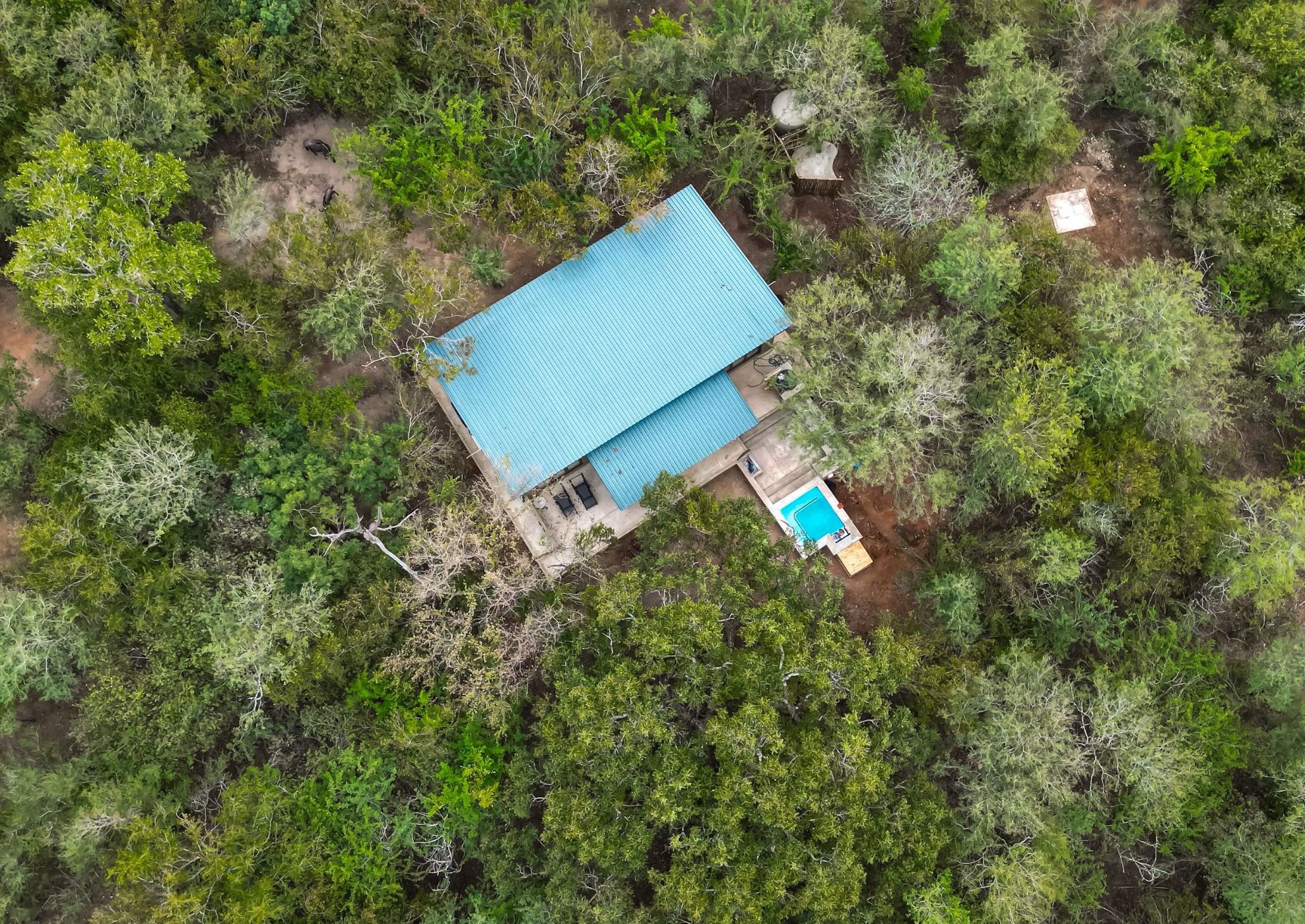 House to rent in Marloth Park - 1NK1716280