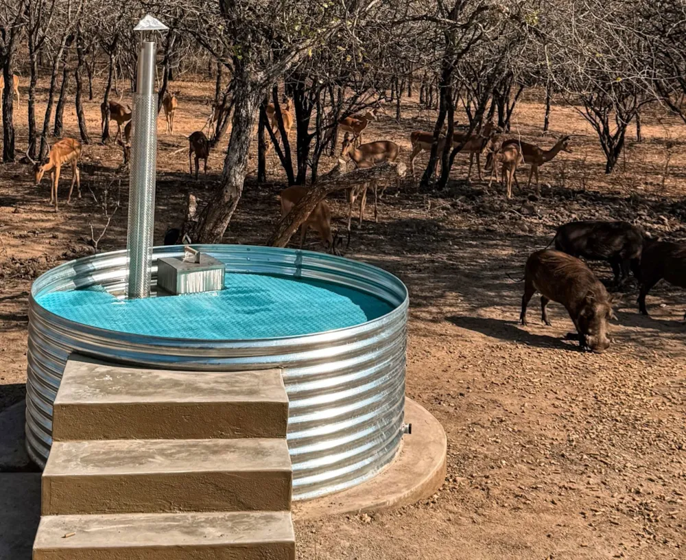 House to rent in Marloth Park - 1NK1716177 House to rent in Marloth Park - 1NK1716177