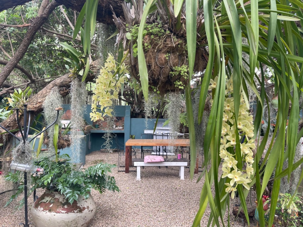 House for sale in Riebeek Kasteel - RV1702455 House for sale in Riebeek Kasteel - RV1702455