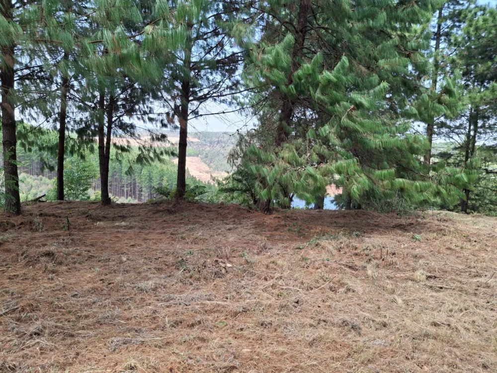 Vacant land for sale in Magoebaskloof - 1TA1636870