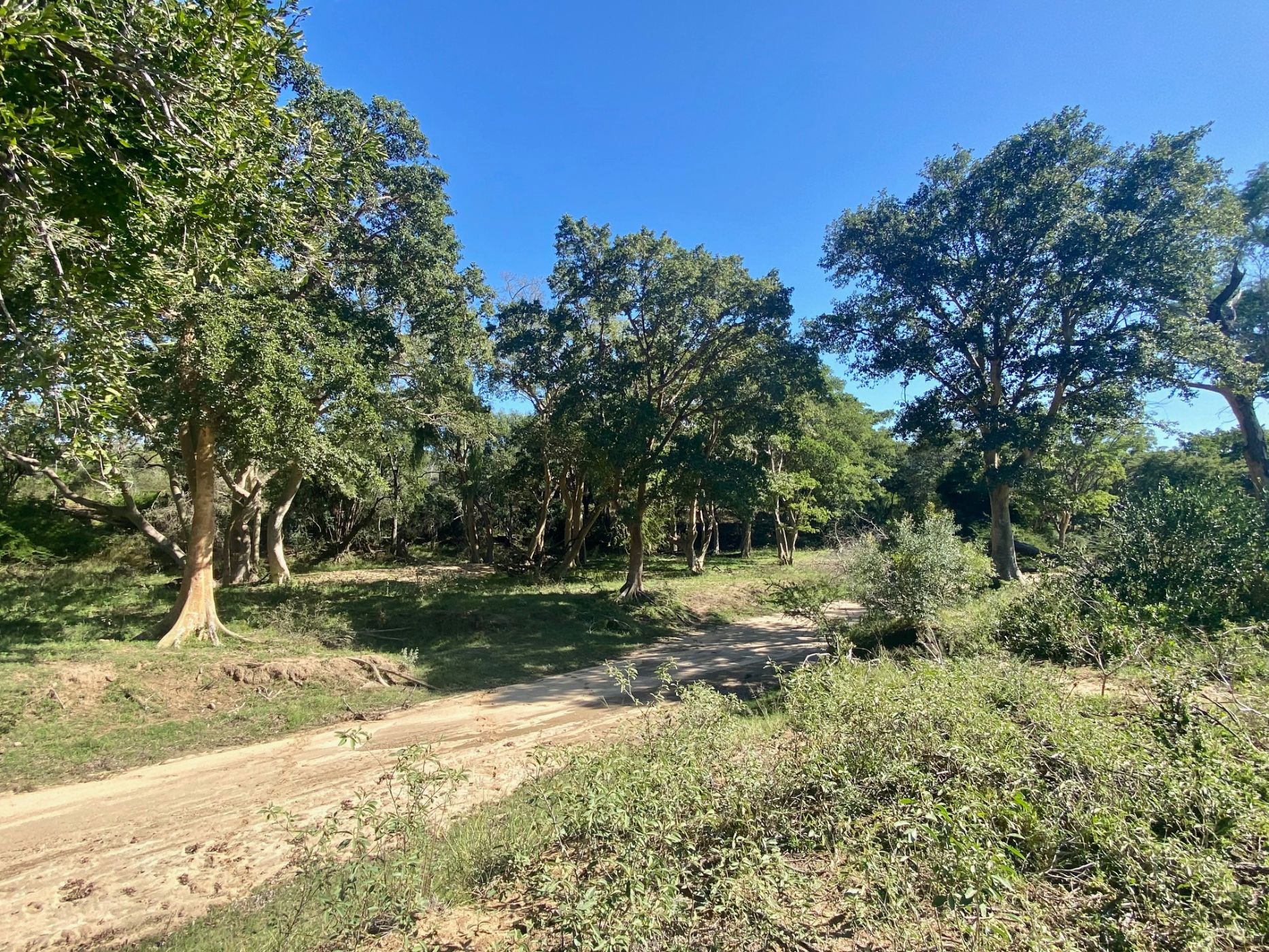 Vacant land for sale in Leadwood - 1HS1712934