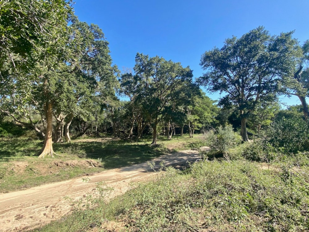 Vacant land for sale in Leadwood - 1HS1712934